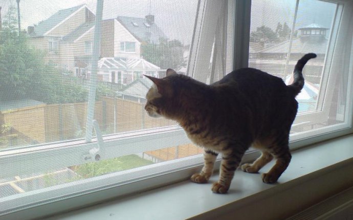 Pet Screens from FLYGUARD, Southend on Sea, Essex