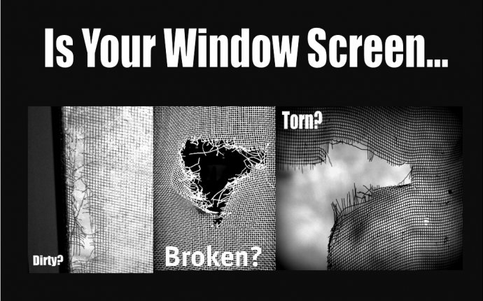 Window Screens: Window Screen Replacement Cost