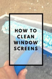 The best way to clean your window screens